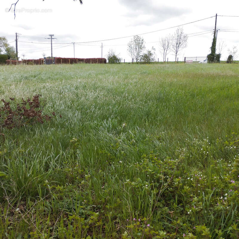 Terrain à TRIZAY-LES-BONNEVAL
