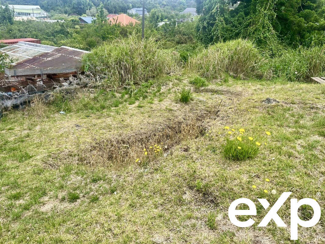 Terrain à SAINT-PIERRE