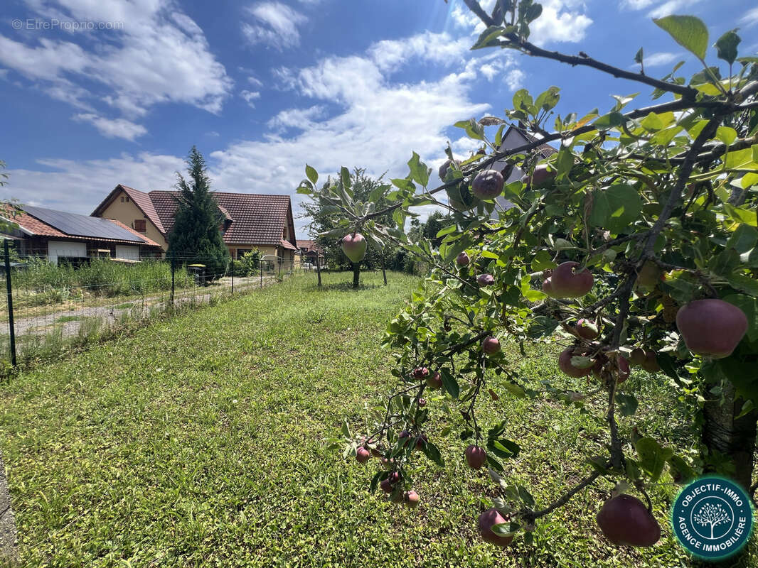 Terrain à WILLGOTTHEIM