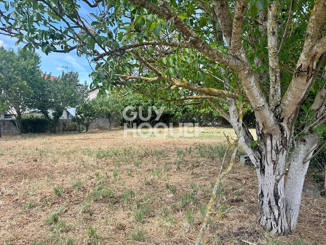 Terrain à GRENADE