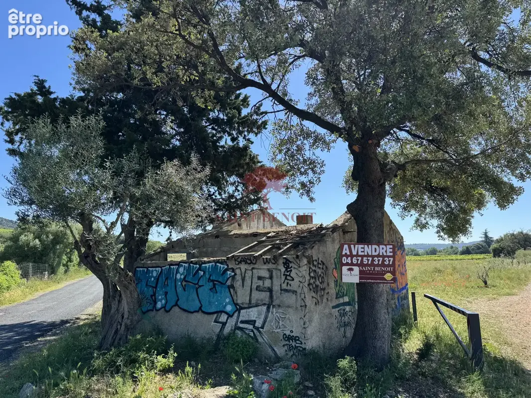 Aniane vente mazet agricole - photo 9