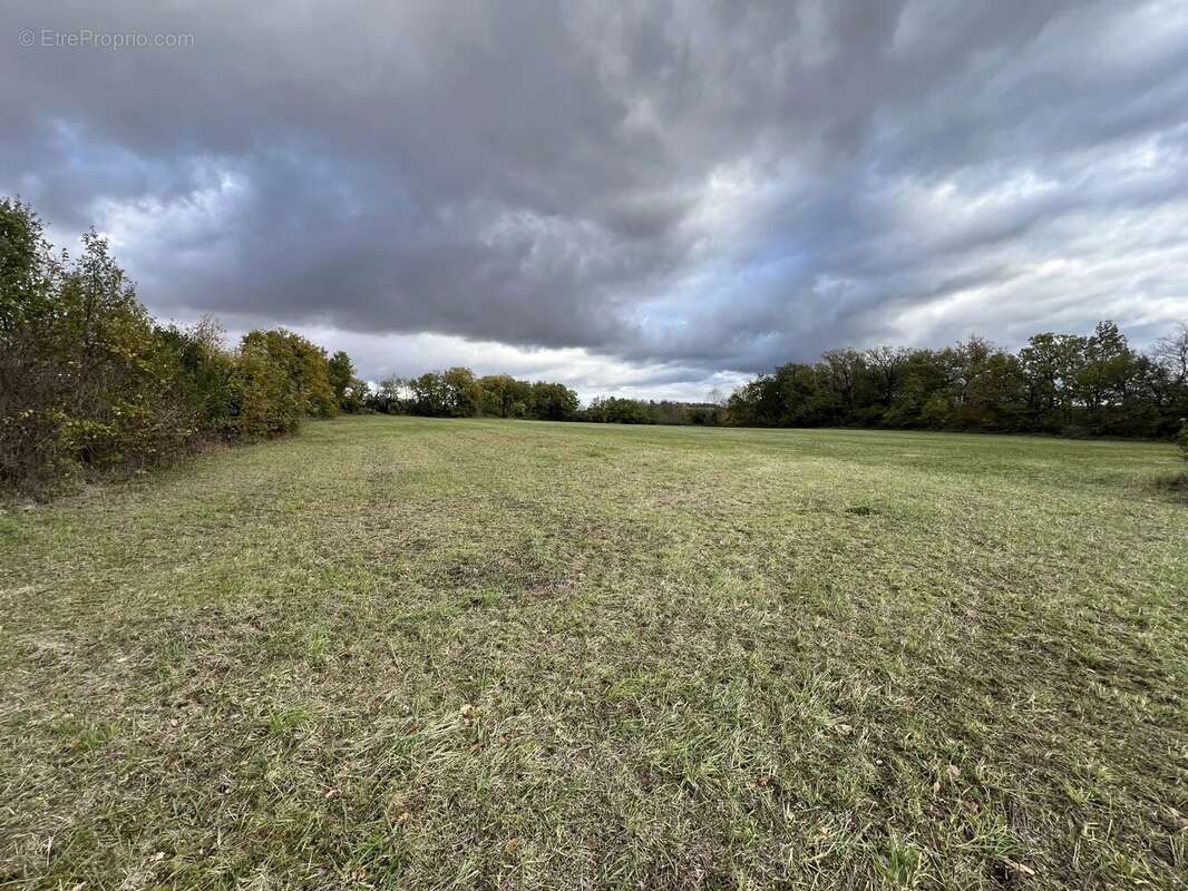 Maison à SAINT-CLAR