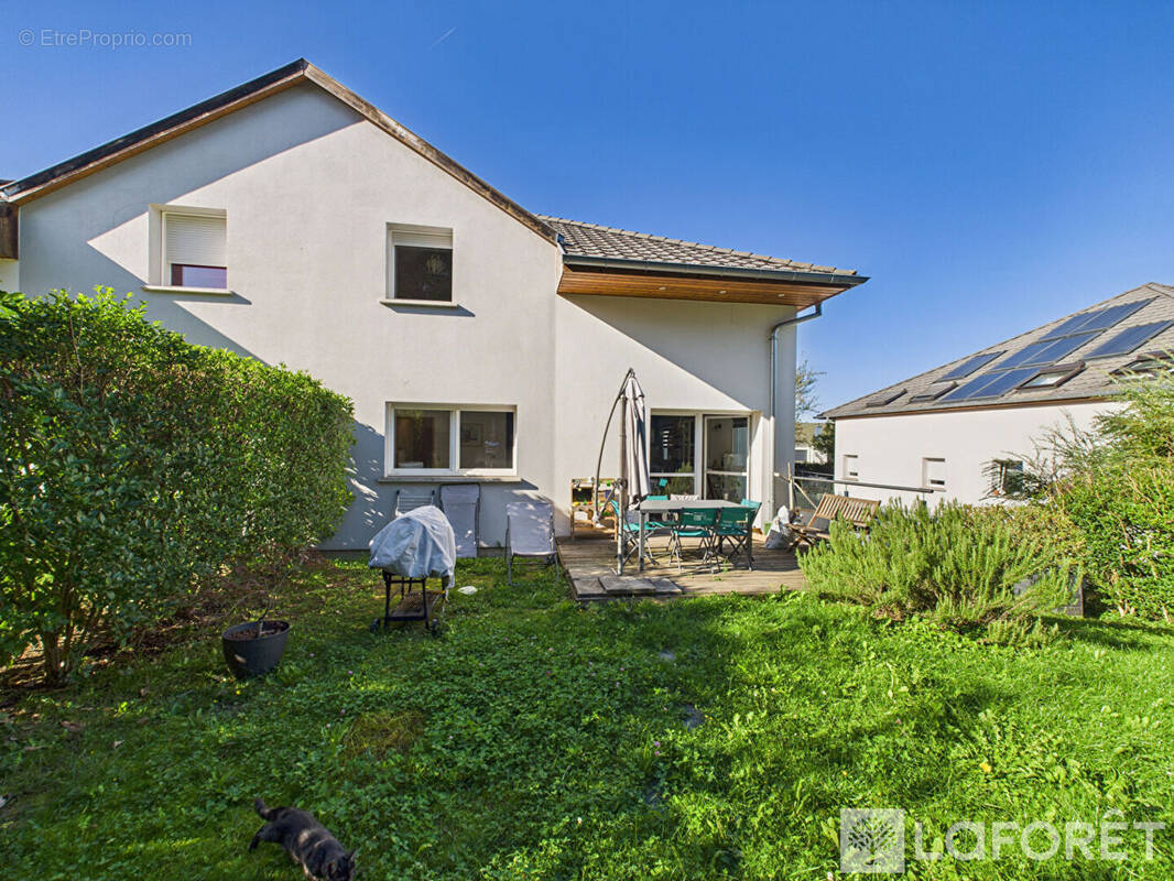 Maison à MORSCHWILLER-LE-BAS