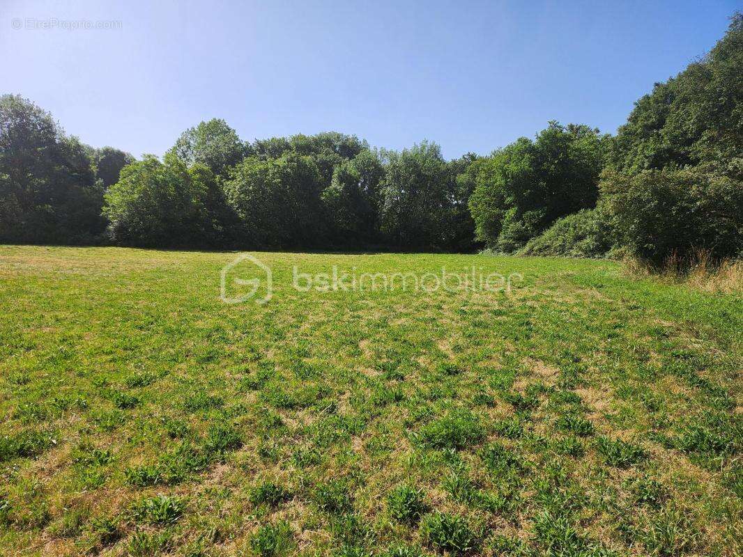 Terrain de loisirs bord de rivière – 2860 m² – Sanxay - photo 2