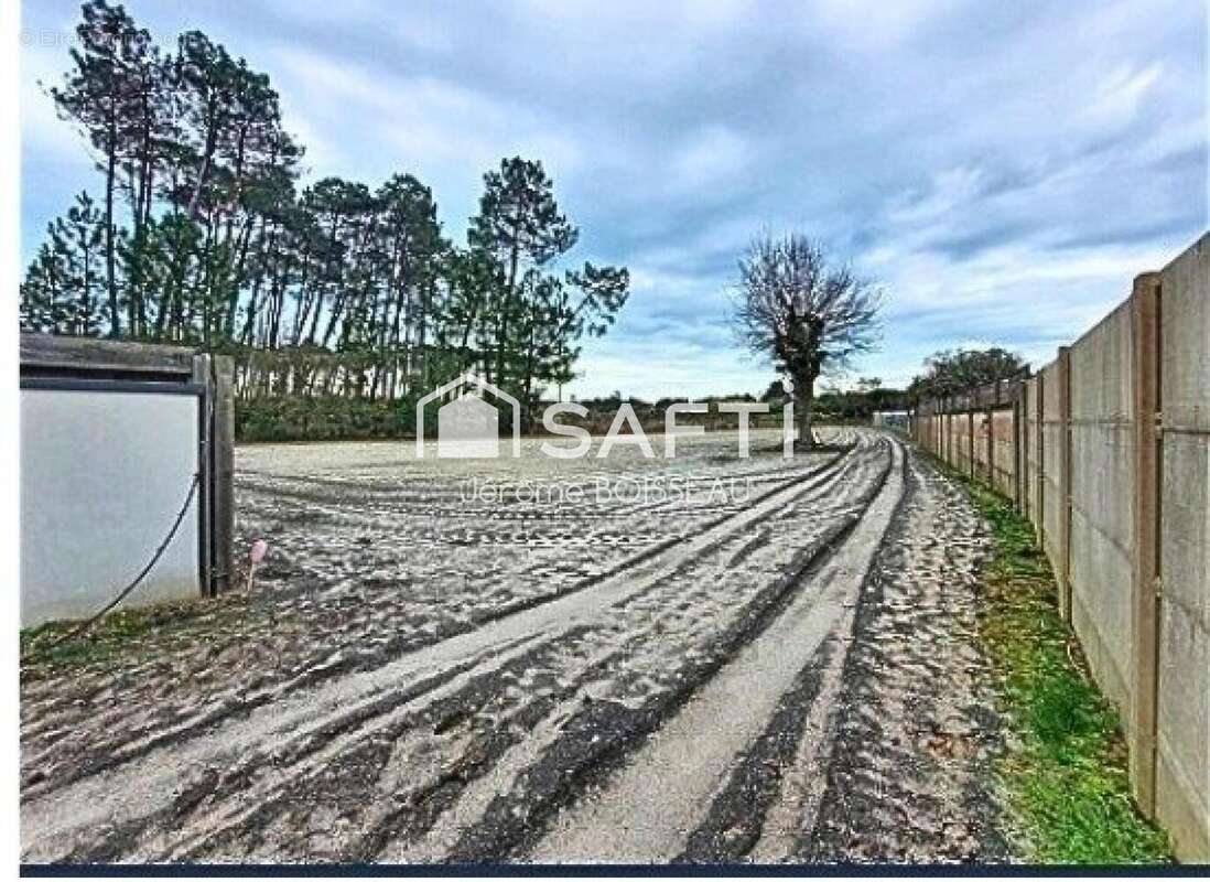 Photo 3 - Terrain à BISCARROSSE