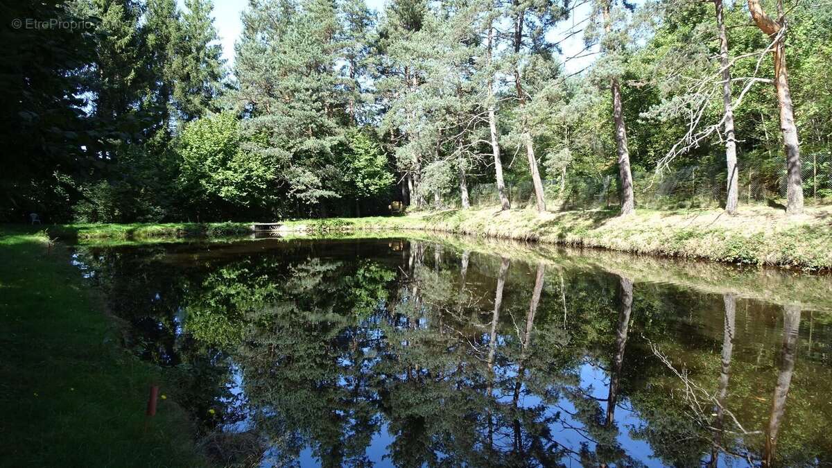 Terrain à SAINT-PAL-DE-MONS