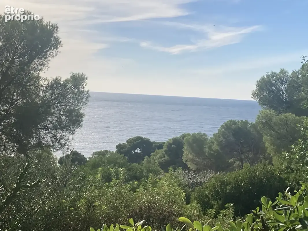 HYÈRES   ALMANARRE / COSTEBELLE T2 vue mer terrasse et jardin - photo 16