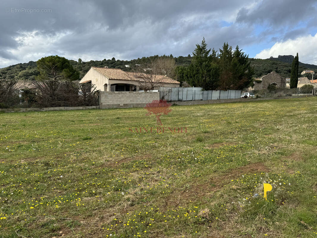 Vente terrain saint saturnin de lucian - photo 2