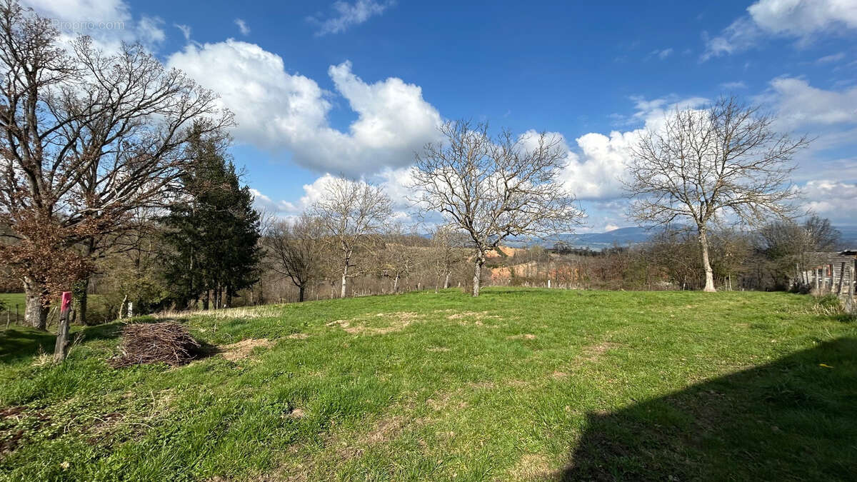 Terrain à SERMENTIZON