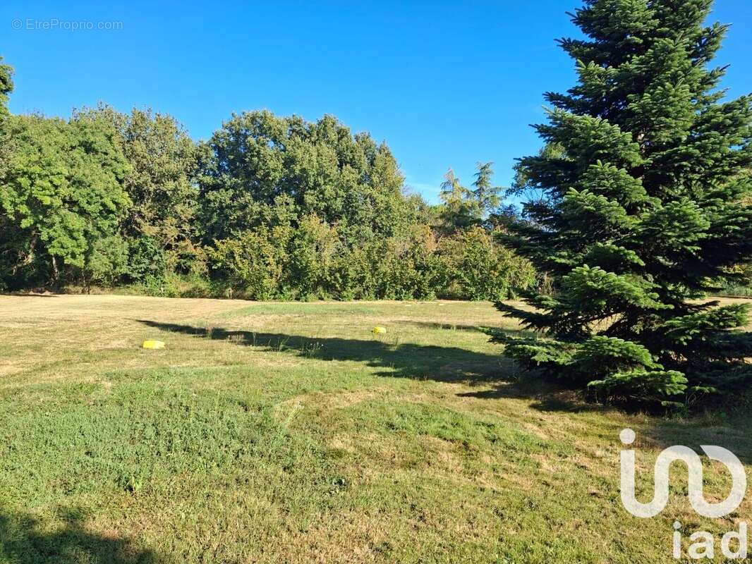 Photo 2 - Terrain à MONTAUBAN