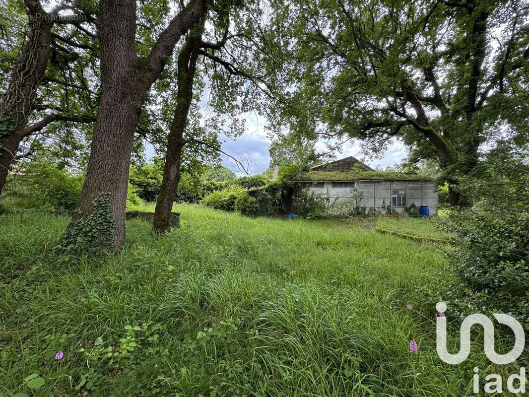 Photo 3 - Terrain à VOEUIL-ET-GIGET