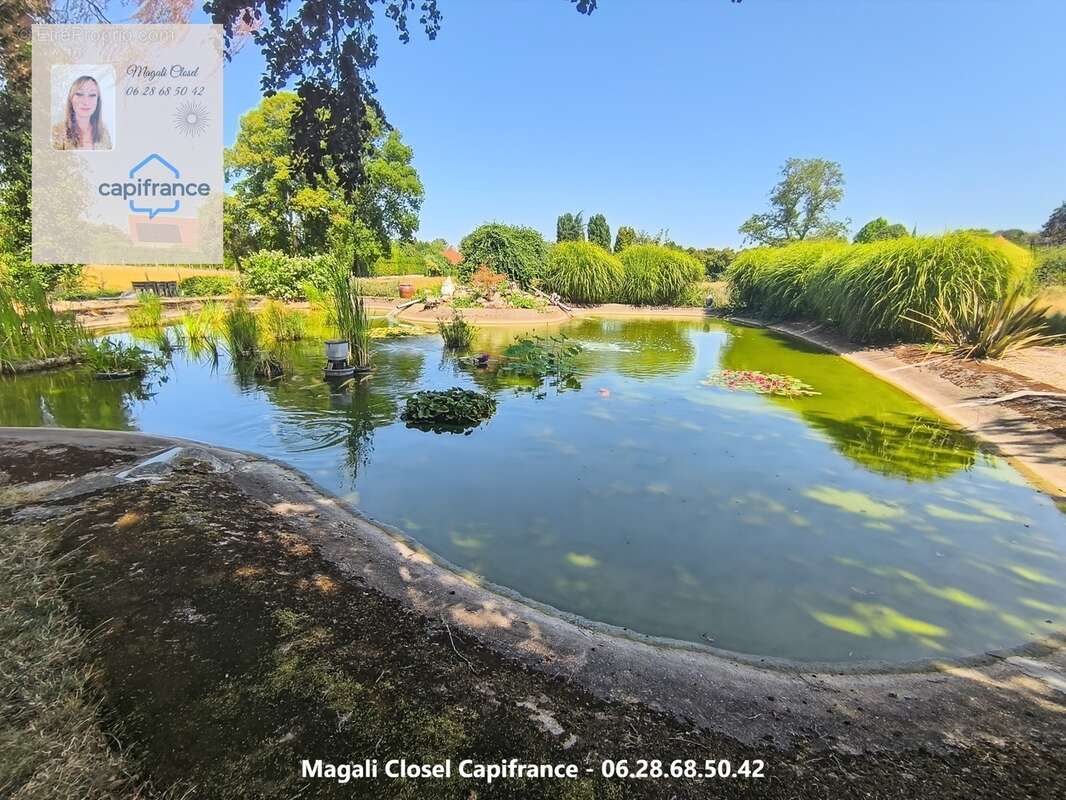 Maison à vendre 8 pièces avec Bassin et piscine. Pierre de Bresse - photo 7