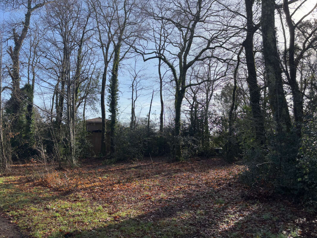 Terrain à SEIGNOSSE