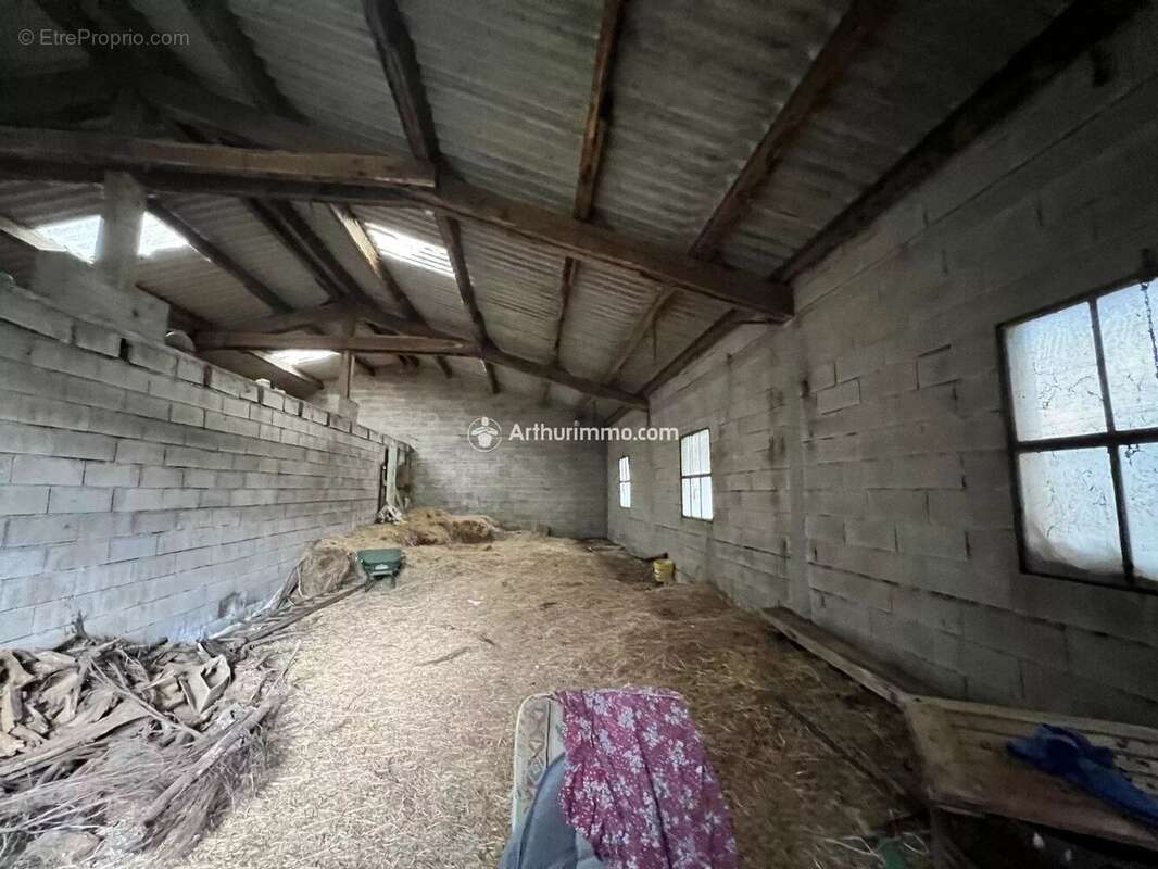 Terrain à SAINT-JEAN-DU-BRUEL