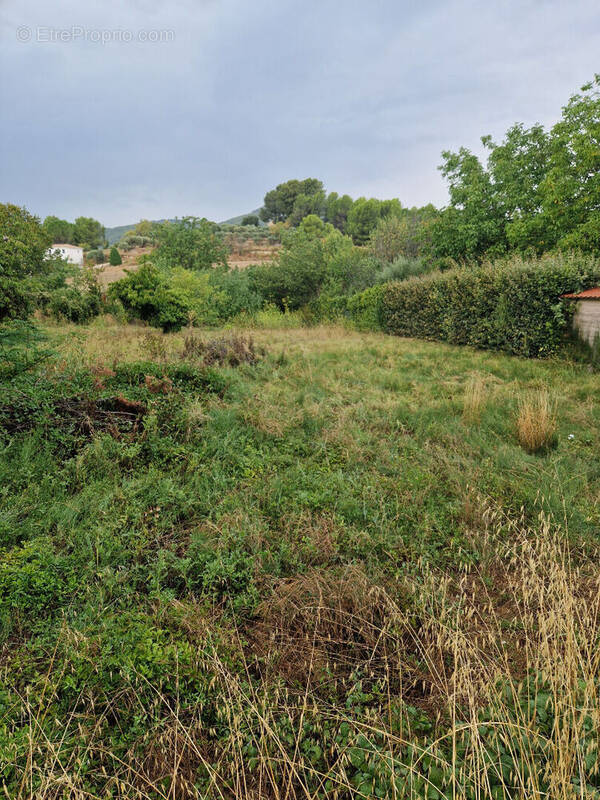 Terrain à SAINT-ZACHARIE