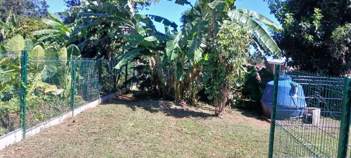 Photo 3 - Maison à CAPESTERRE-BELLE-EAU