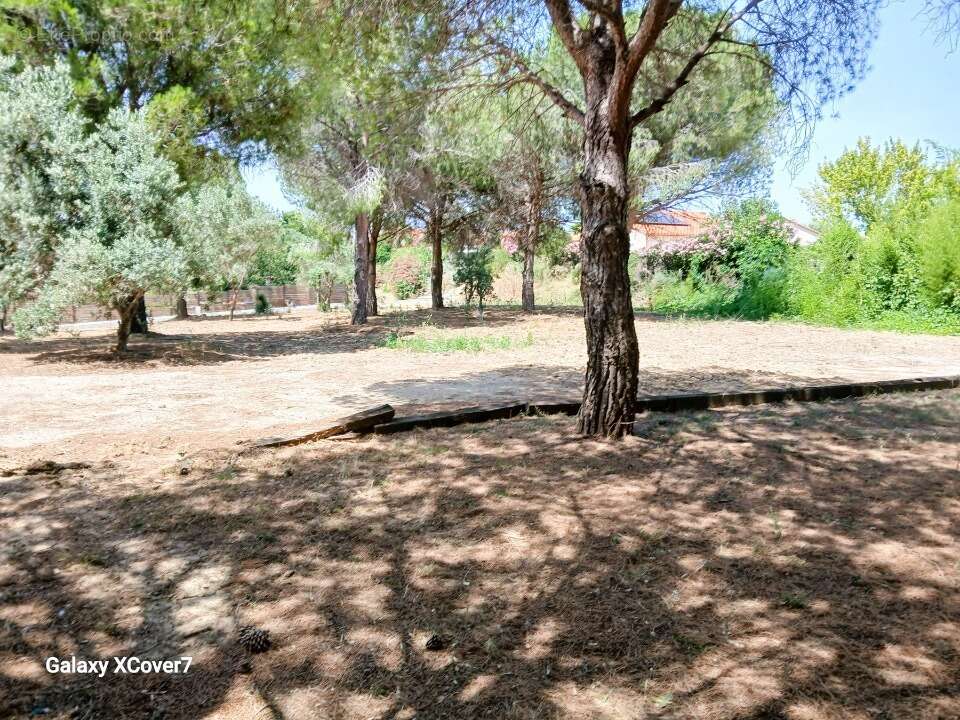 Terrain à PERPIGNAN