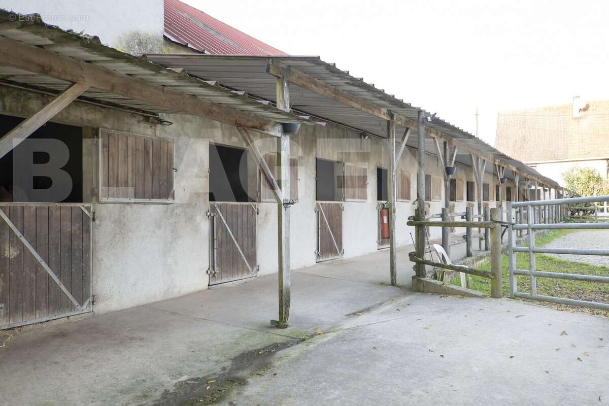 Ecurie - vue de l'extérieur - Maison à BASSEVELLE
