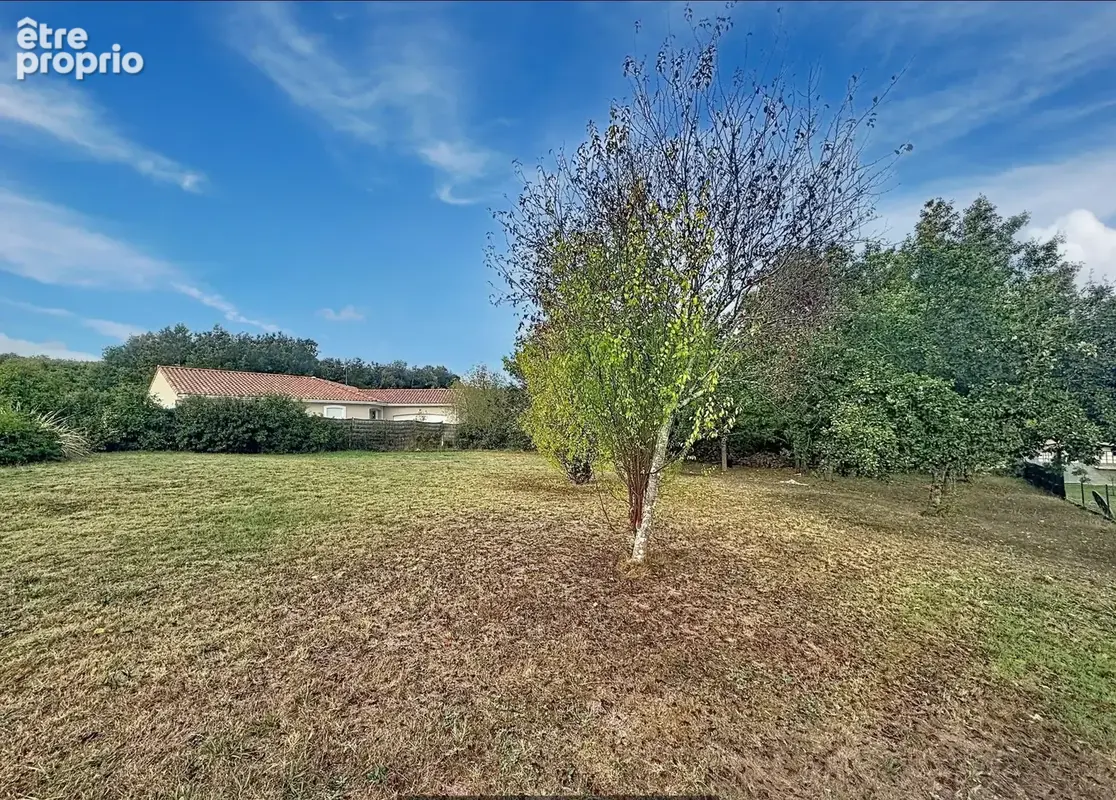 Terrain 1 217 m² à vendre à Cepet (31620) - photo 2