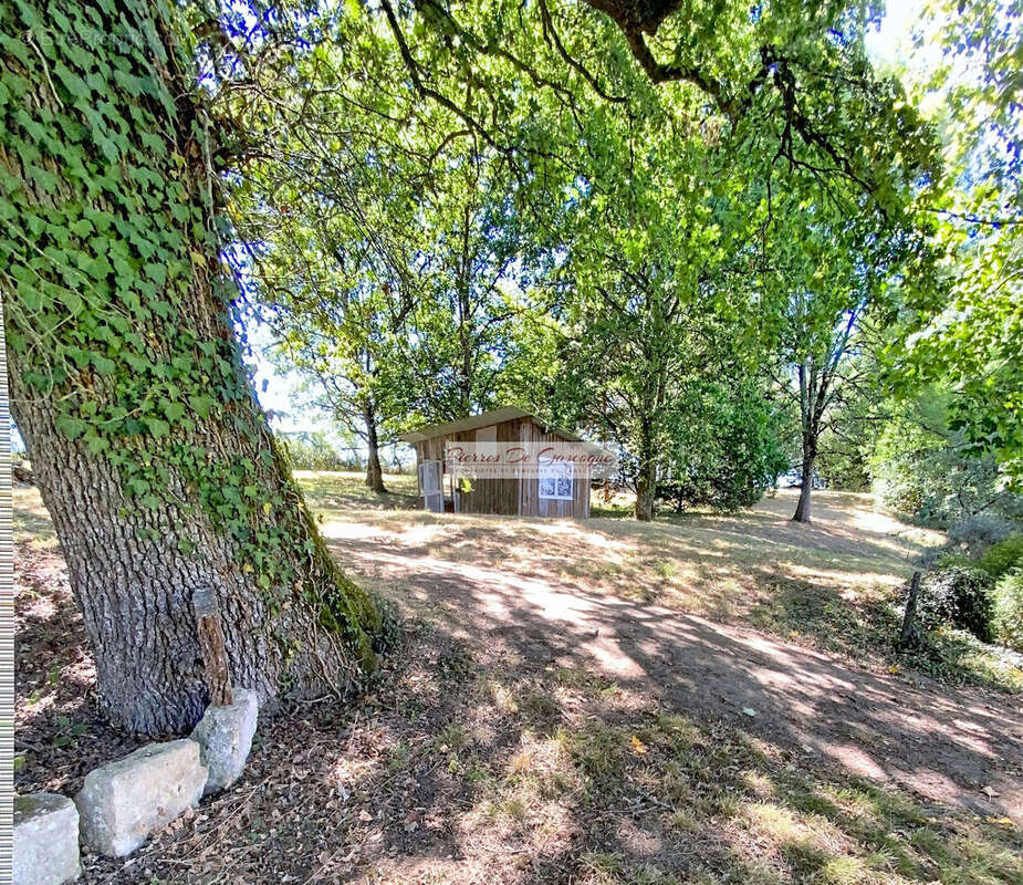 Ancienne métairie de caractère du XIXᵉ siècle – Charme, authenticité et potentiel – Parc arboré, piscine et dépendances - photo 19