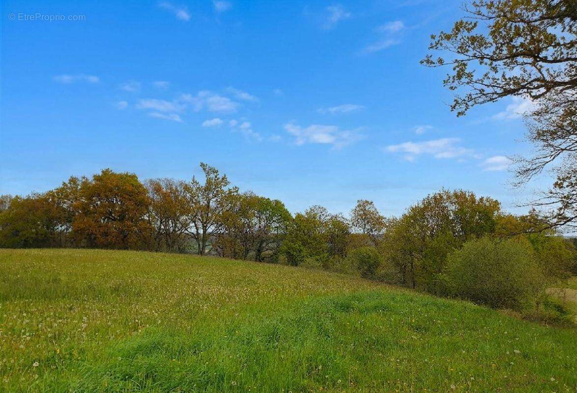 Terrain à CASTAIGNOS-SOUSLENS