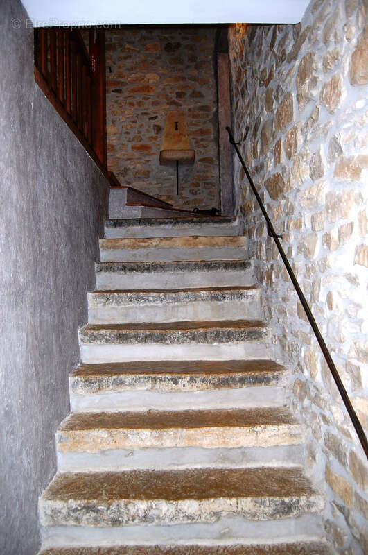Mas du 19ieme avec 3 gites et partie privative 180m2 sur 3843 m2 de terrain avec piscine - photo 8