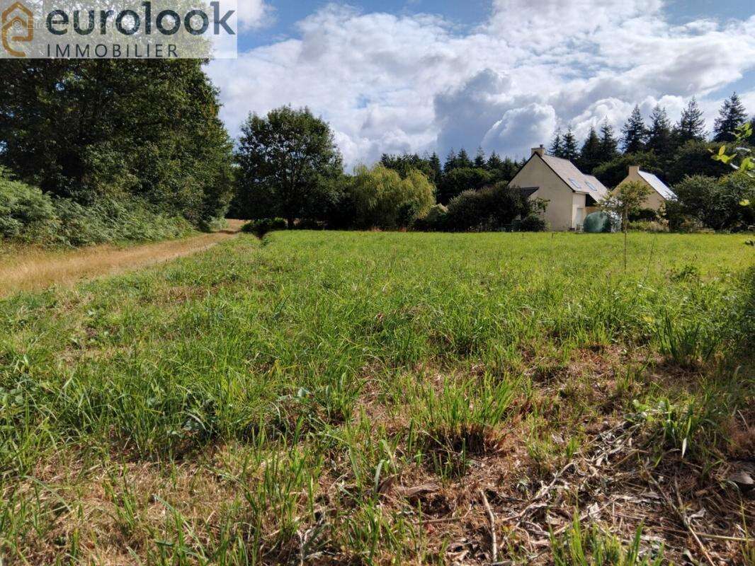 Terrain à SAINT-GUYOMARD