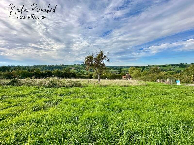 MAIZILLY - Terrain de 4 630,00 m² viabilisable et divisible - photo 5
