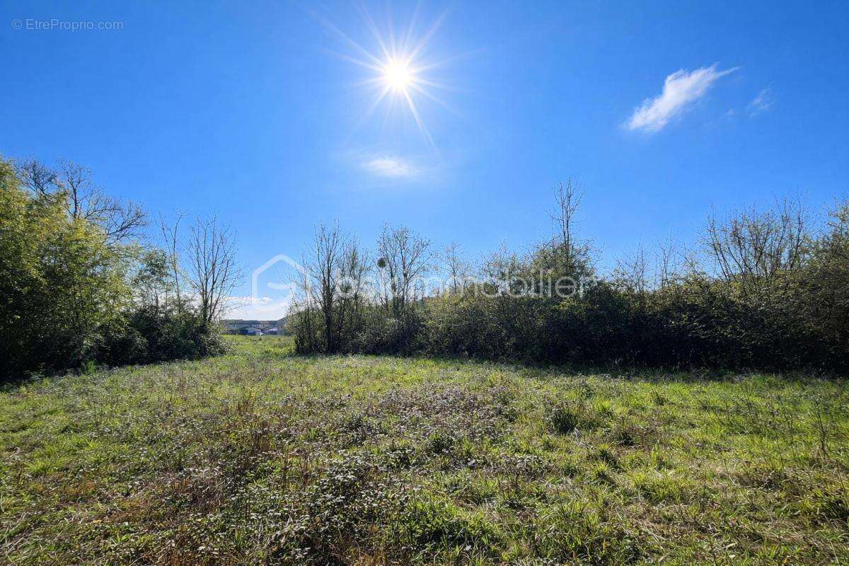 Maison à CRECHES-SUR-SAONE