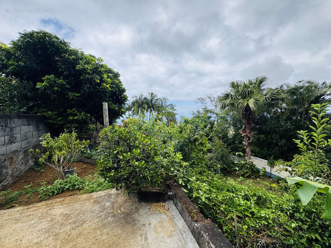 Maison à SAINT-JOSEPH