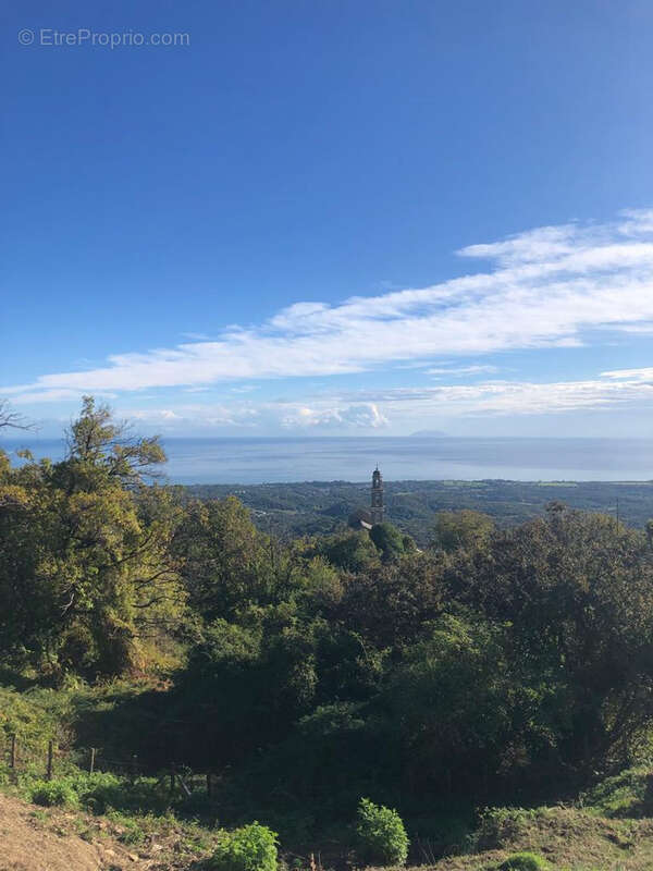 Maison à SANT'ANDREA-DI-COTONE