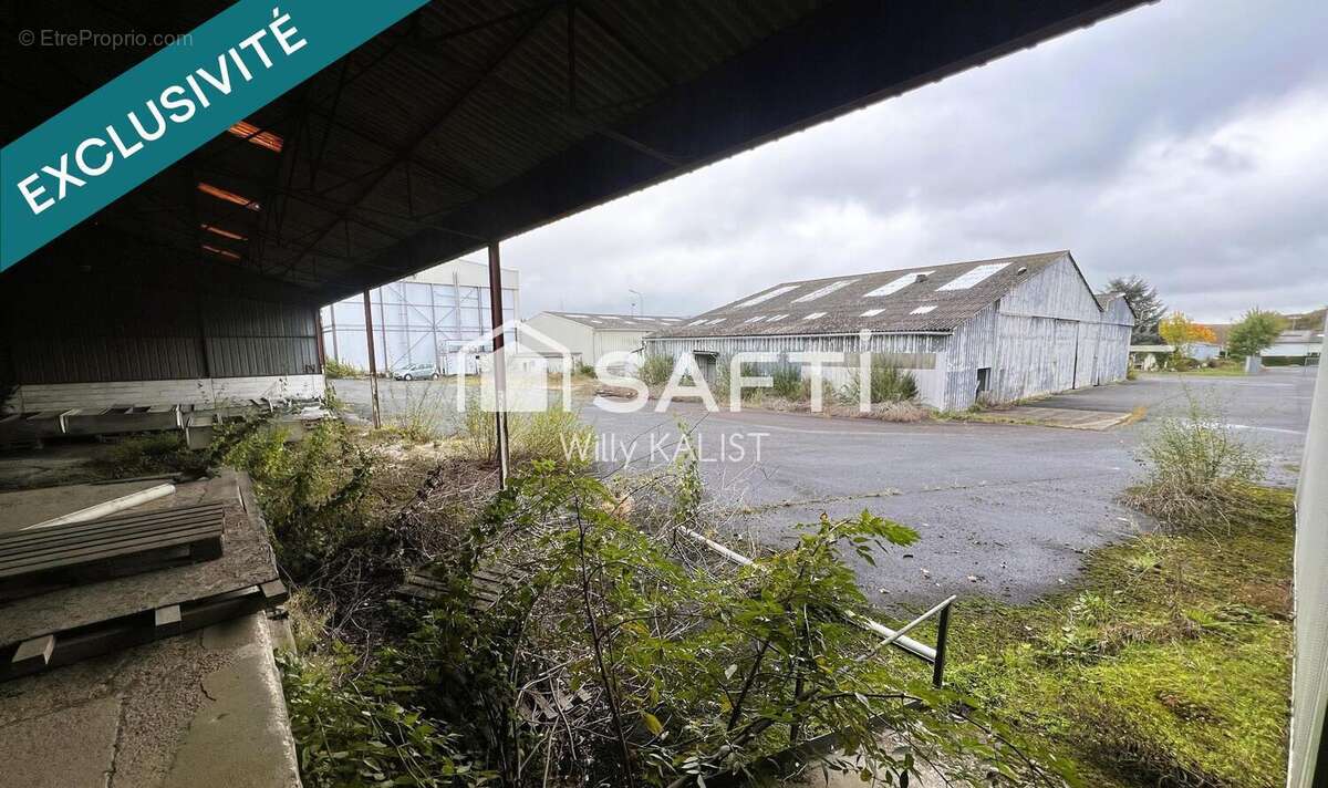 Photo 4 - Appartement à CHATEAU-LA-VALLIERE