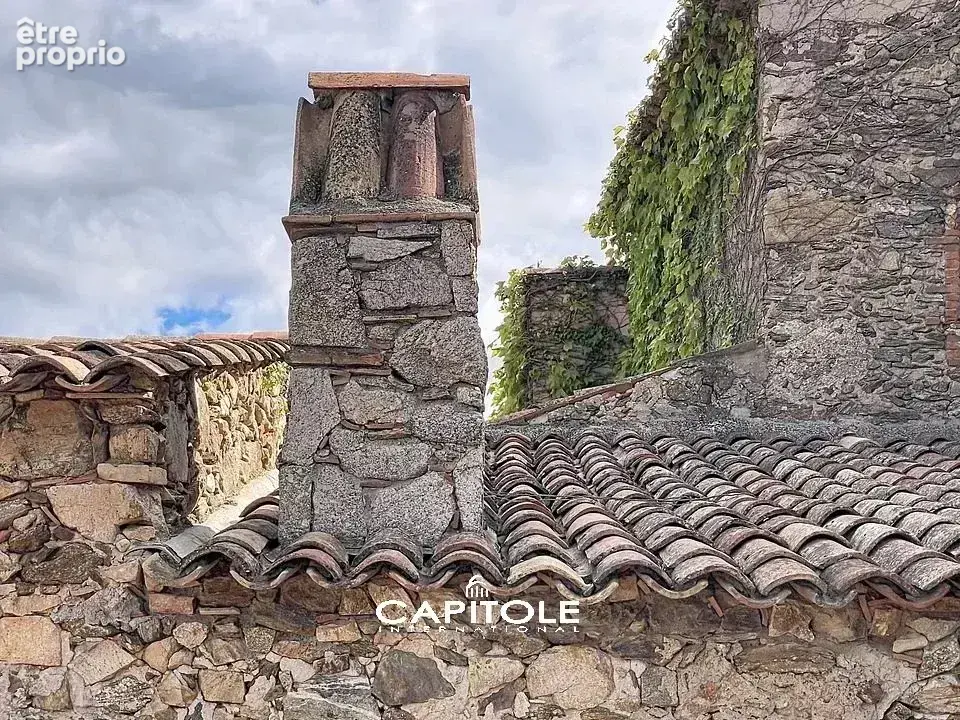 Magnifique propriété de 9 hectares à St Maxime avec Bastide en pierre, oliveraie et dépendances. - photo 7