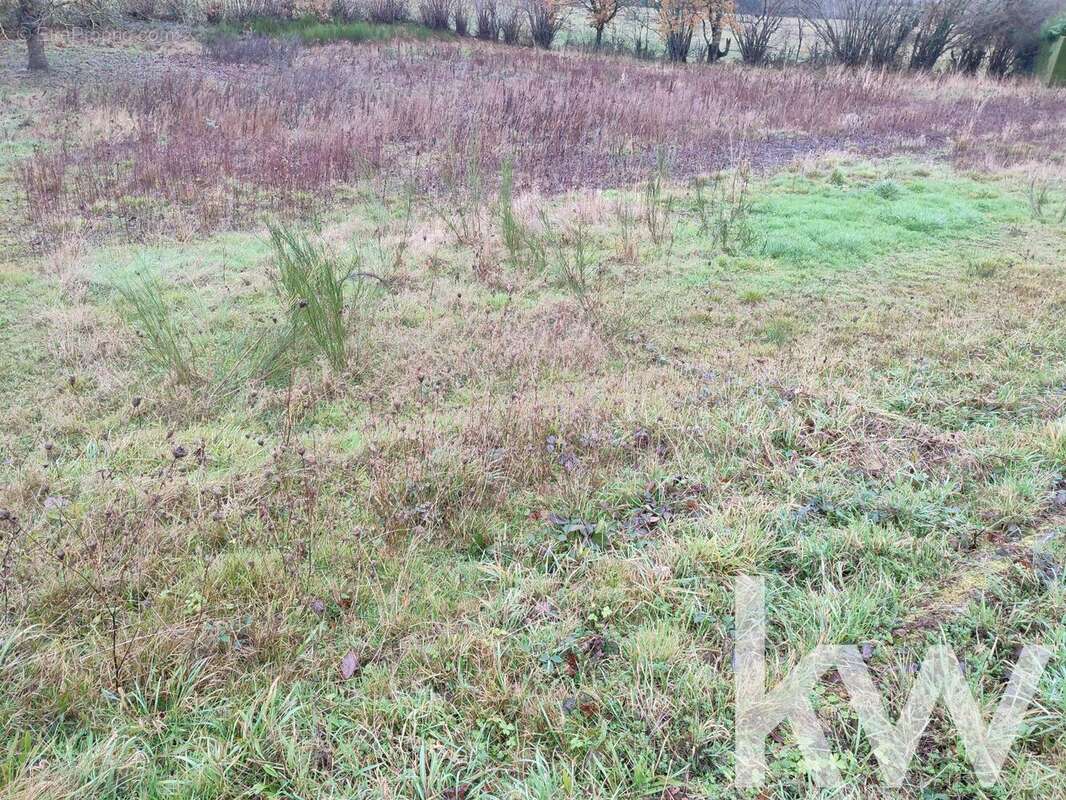 Terrain à SAINT-GEORGES-DE-MONS