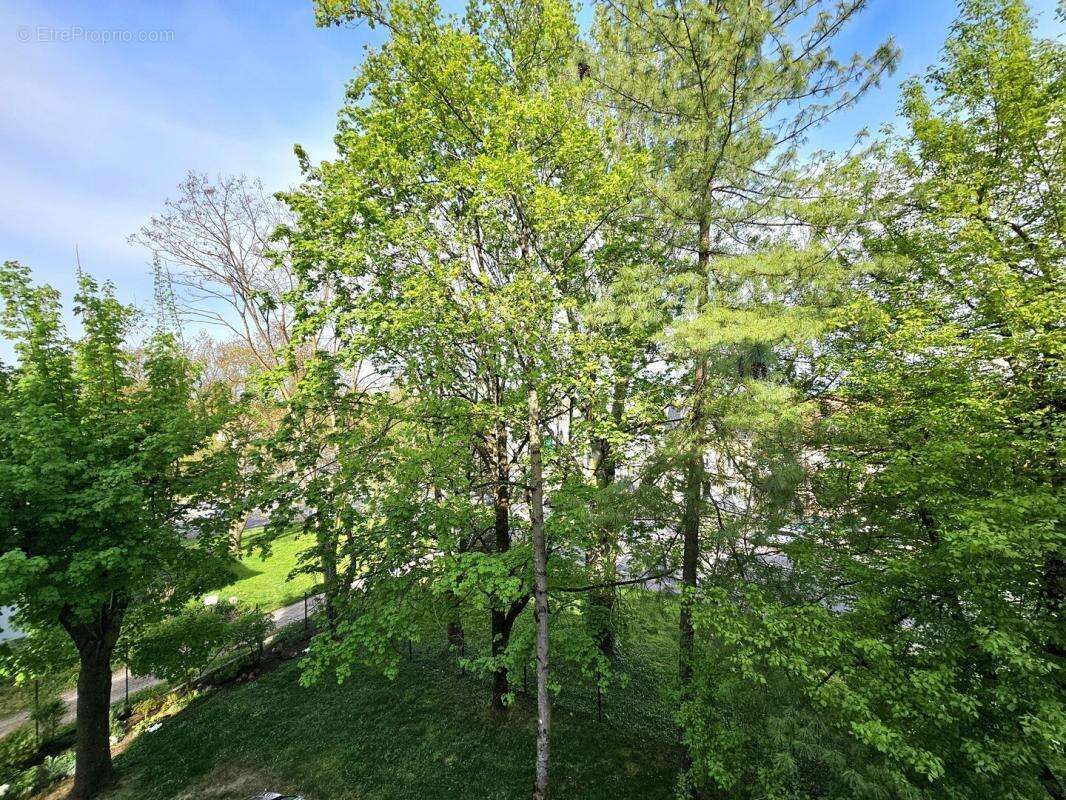 Appartement à MULHOUSE