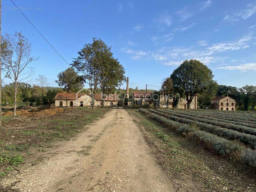 Commerce à MONTELIMAR