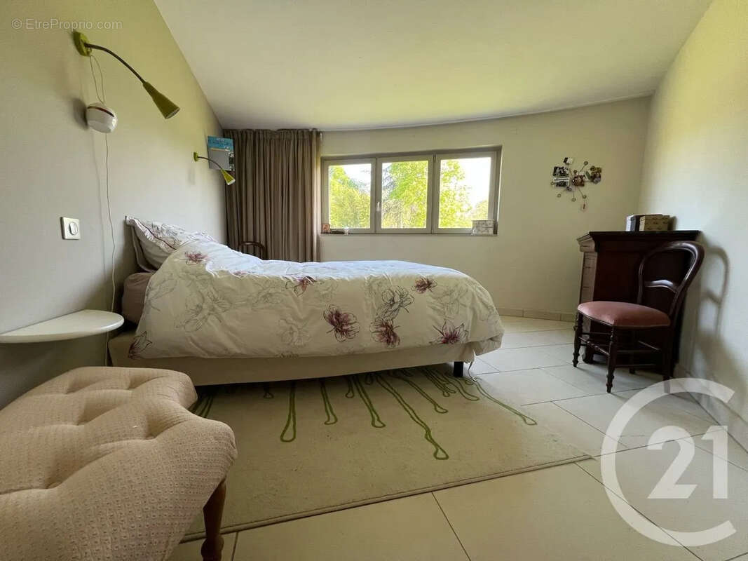 Maison 267 m² à Saint-Etienne-De-Maurs  - photo 25