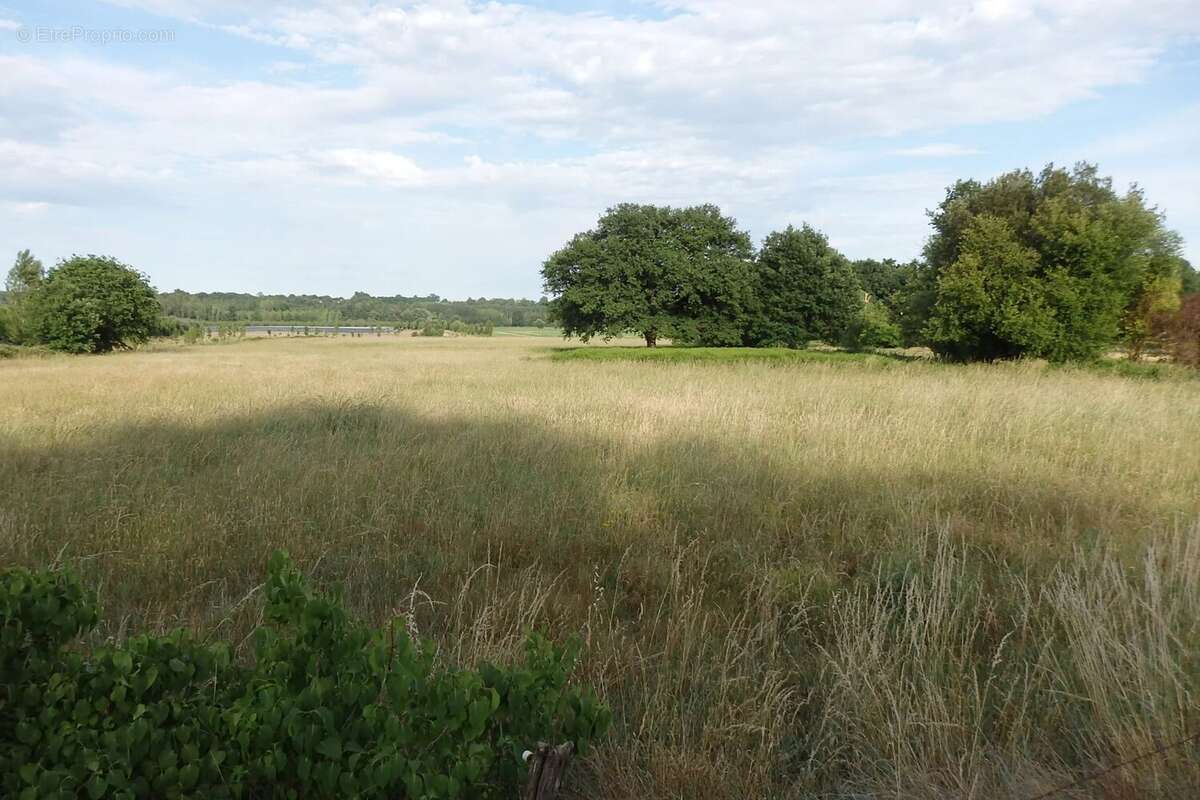 A vendre Terrain agricole à Samazan (47250) - photo 2