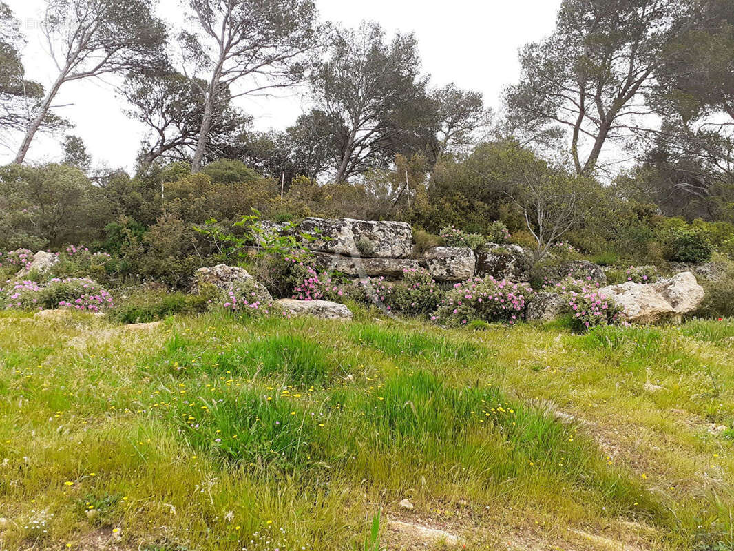 Terrain Istres 548 m2 - photo 9
