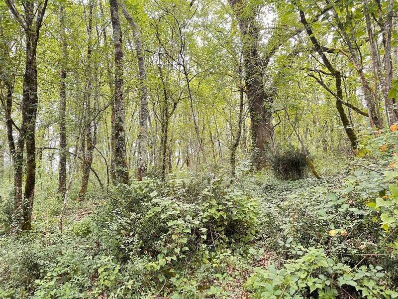 Maison à SAINT-GERMAIN-DE-MONTBRON