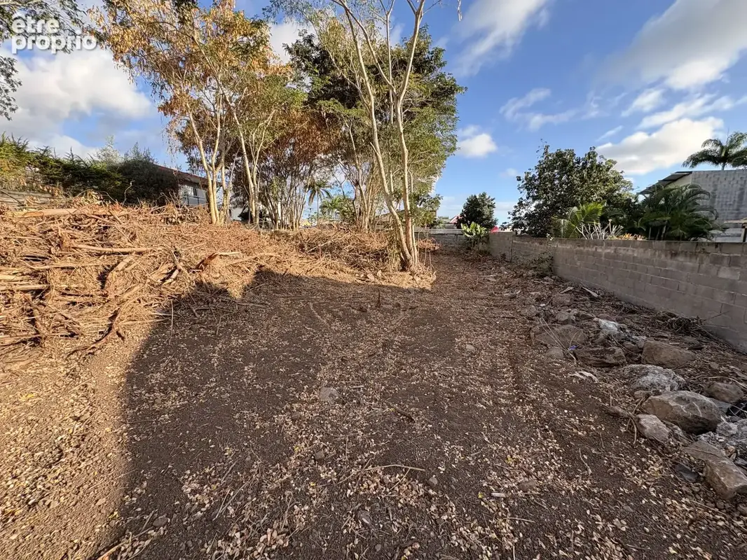 Terrain 350 m² à vendre à Entre-Deux (97414) - photo 3