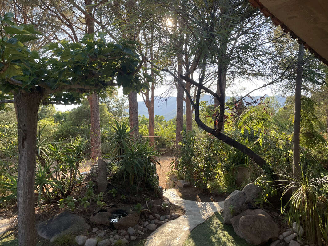 Maison à PORTO-VECCHIO