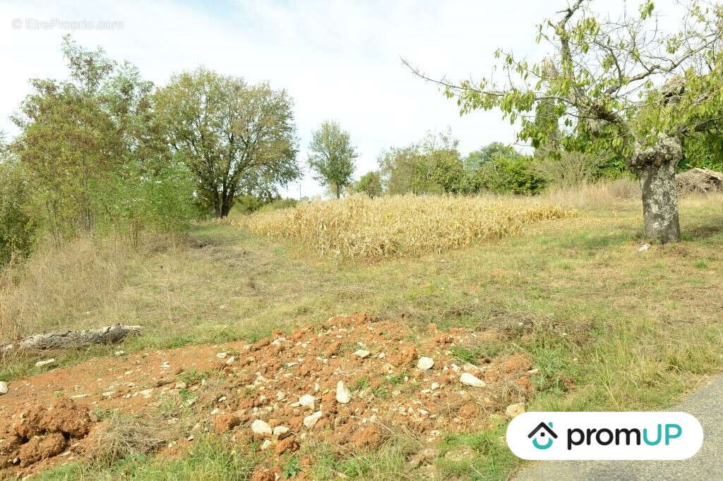 Terrain à FLORESSAS