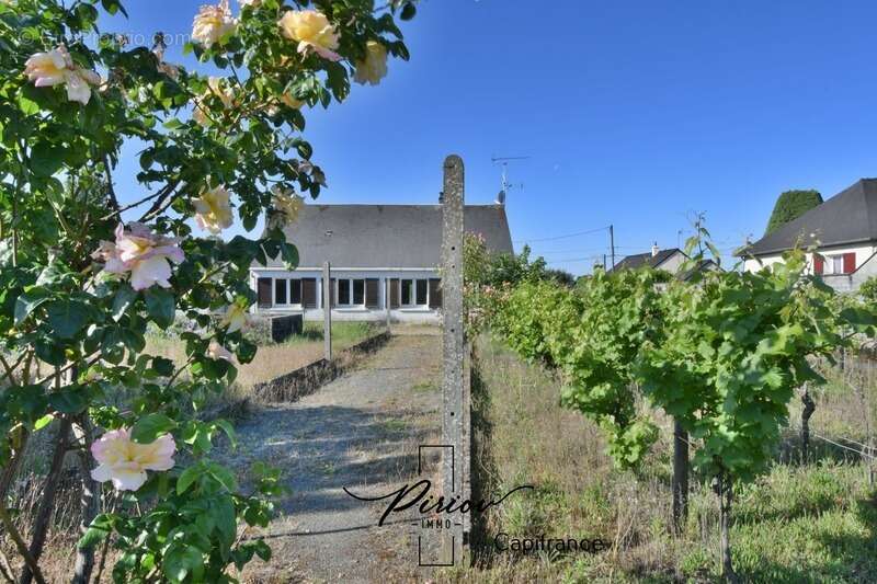 Maison à DOUE-LA-FONTAINE