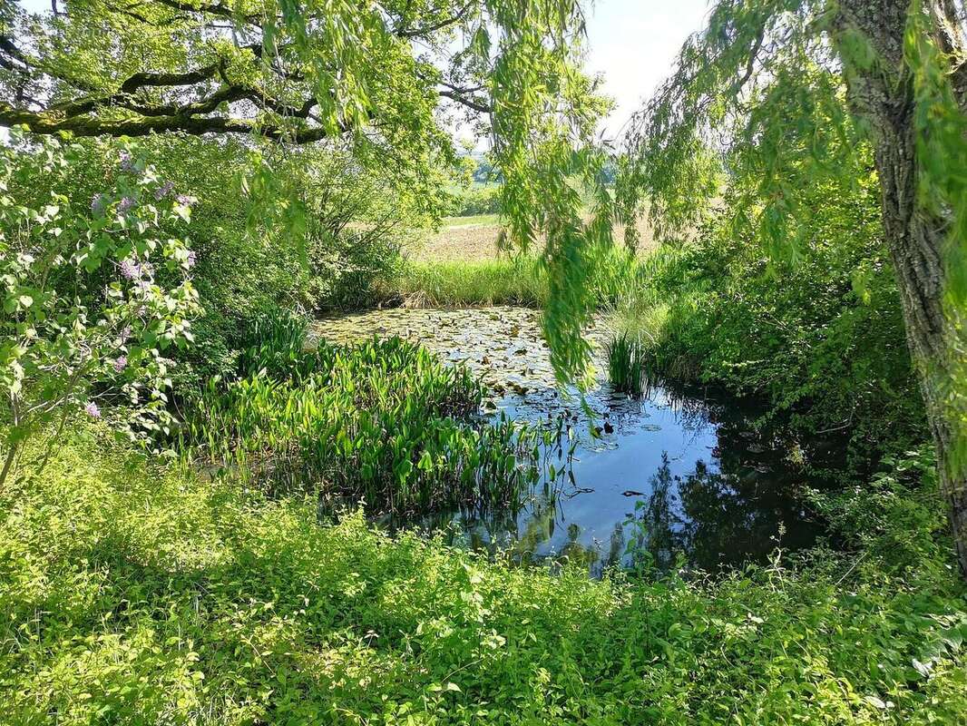 IMG20250428162101 - Maison à BARRAN