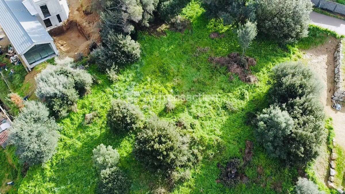 Terrain à BASTELICACCIA