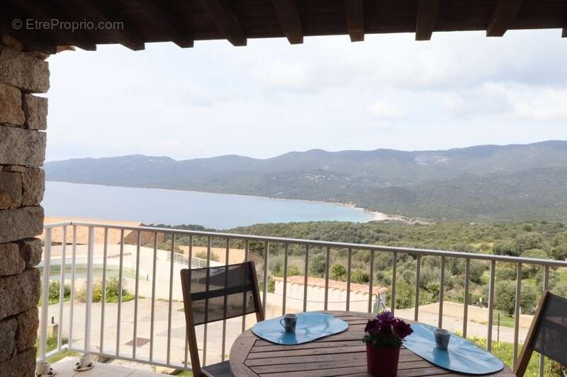 Exclusivité : superbe T2 vue panoramique mer et montagne en corse-du-Sud à SERRA DI FERRO (20) - photo 19