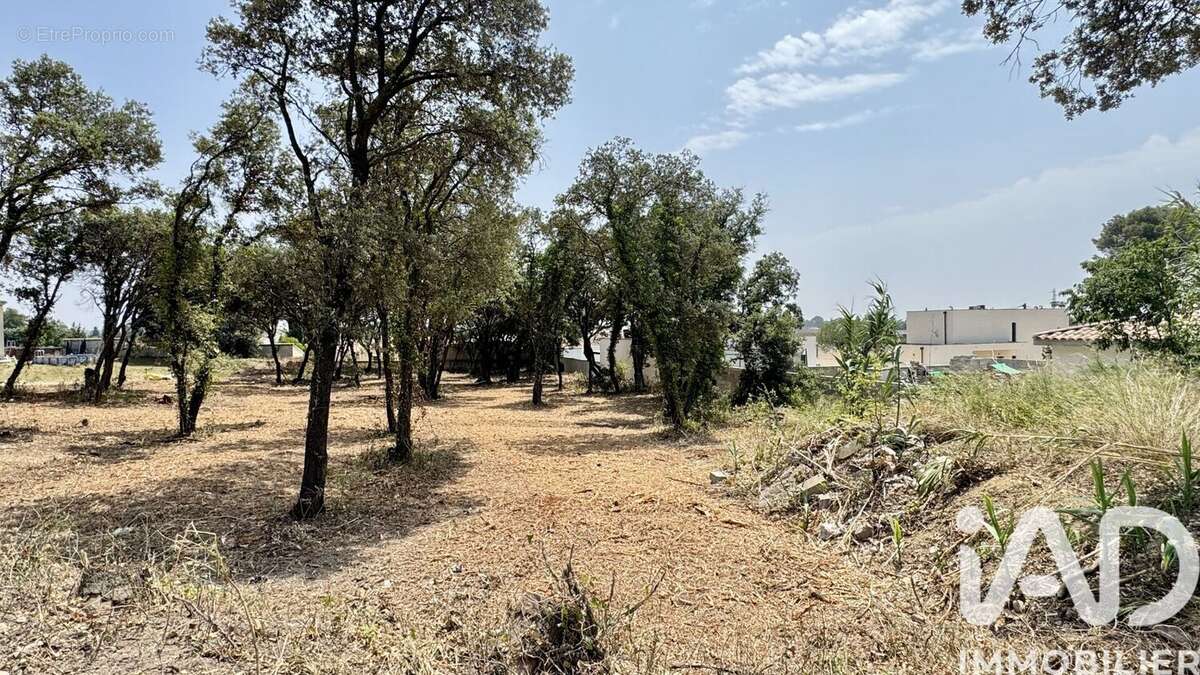 Photo 4 - Terrain à BEDARRIDES