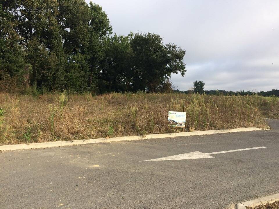 Terrain à BUZET-SUR-TARN