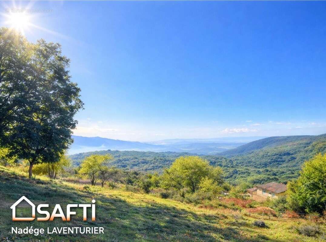 Photo 5 - Terrain à PROPRIANO